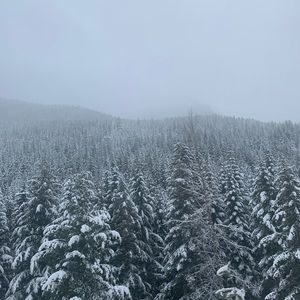 Meet your Posher, Gisela